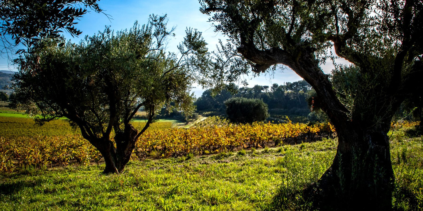 Domaine La Garenne